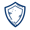 icons8 shield 100